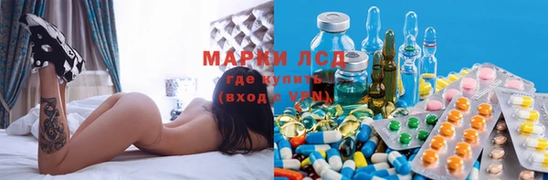 ПСИЛОЦИБИНОВЫЕ ГРИБЫ Армянск