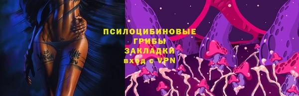 герыч Алексин