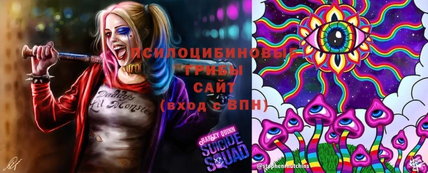 ПСИЛОЦИБИНОВЫЕ ГРИБЫ Армянск