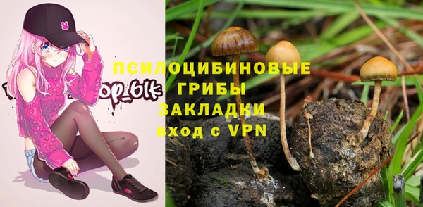 метадон Аркадак