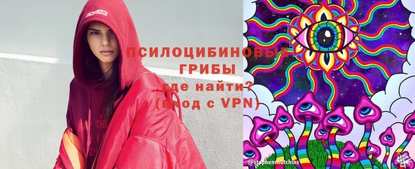 круглые Алексеевка