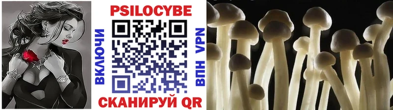 Псилоцибиновые грибы Psilocybine cubensis  Сунжа 